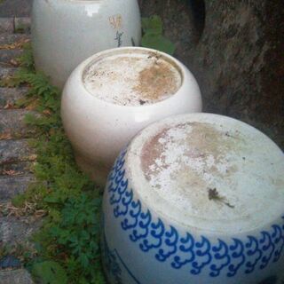 火鉢まとめて　メダカなどに