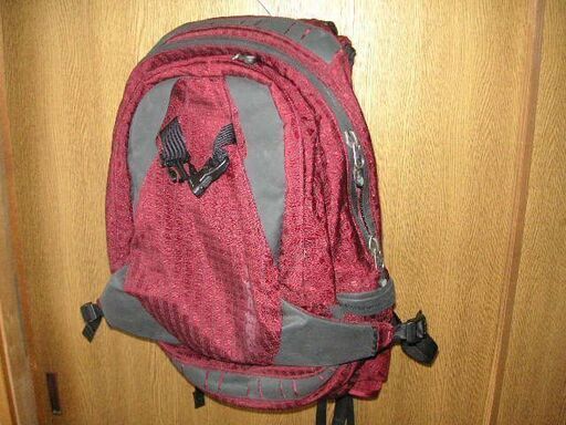 スキー用リュック　patagonia    パタゴニア 　バックパック・リュック  美品・中古