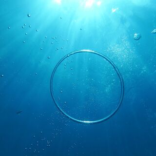 ダイビングのプロになれる!!給料を貰いながらプロダイバーライセンスが取得可能!!の画像