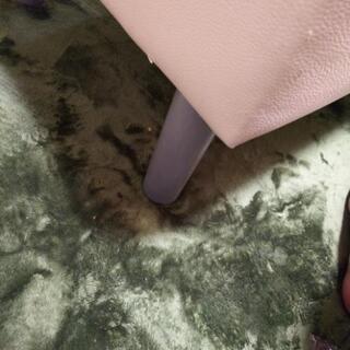 ソファーの画像