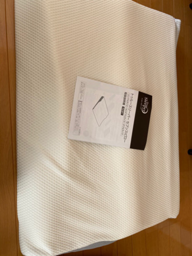 トゥルースリーパー　シングル　セブンスピロー