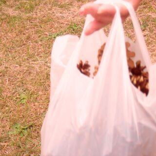 レクも豊富な、CNCjob's。11月のイベントは浜寺公園で松ぼ...