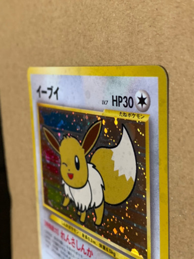 イーブイ　れんさしんか　ファンクラブ限定カード