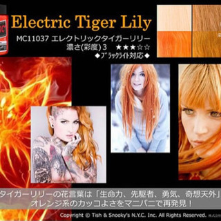 マニパニ エレクトリックタイガーリリー カラーバターの画像