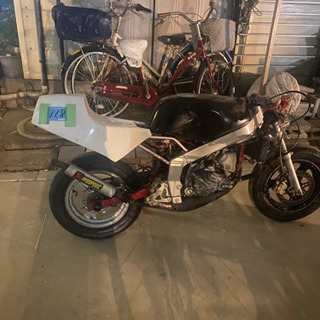 NSR50の画像