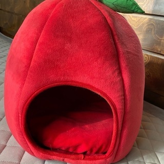 ペットハウスの画像
