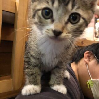 里親募集16