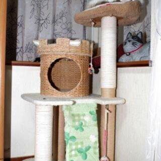 キャットタワー　＜オリジナル＞中古！の画像
