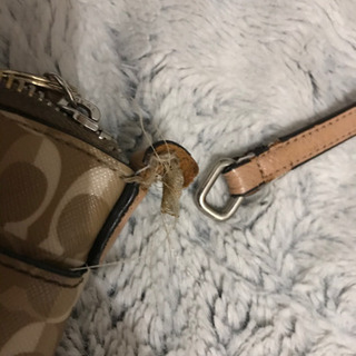 値下げ　コーチ　ショルダーバッグ　ジャンクの画像