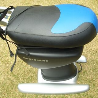 ロデオボーイの画像