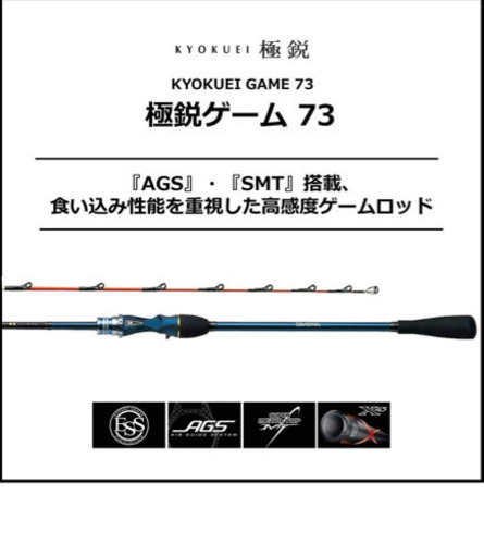 ダイワ(DAIWA) 船竿 極鋭ゲーム73 73 M-193AGS 釣り竿