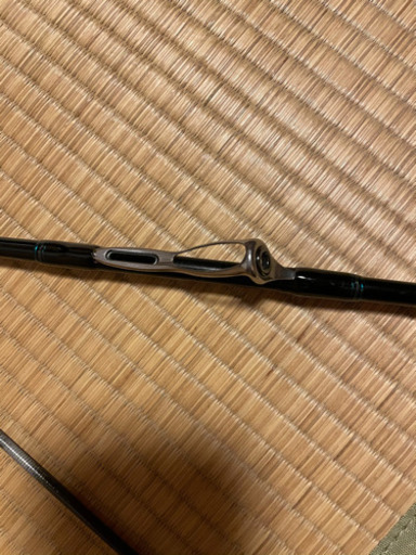 【受け取り者決定】ダイワ(Daiwa) エメラルダス EX 84M-HD