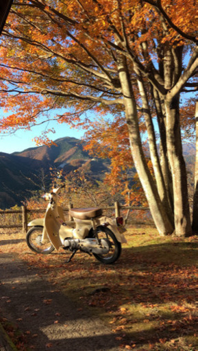 リトルカブ　88ボアアップ　再掲載