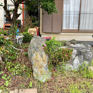 2025年　7/5(土)〜7/6(日)庭清掃をお手伝いいただける方探しています − 群馬県