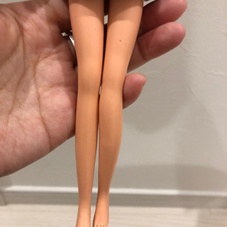 ジェニーちゃんの画像