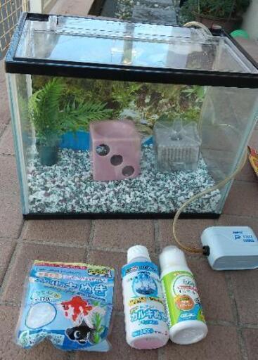 美品！金魚のお部屋 s 水槽セット