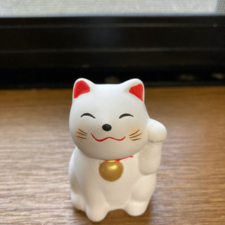 人工股関節を入れました(^.^)