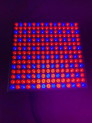 LEDライト
