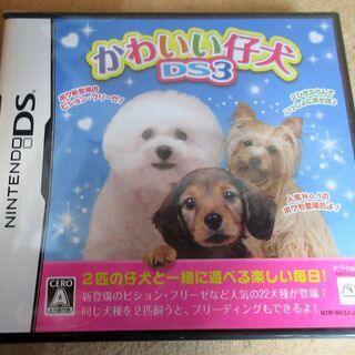 ☆DS/かわいい仔犬DS3 2匹の仔犬と一緒に遊べる楽しい毎日！◆かわいい仔犬をかしこく育てるの画像