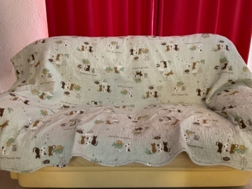 中古品です