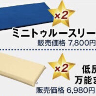 新品！4点セット　ミニトゥルースリーパー&低反発万能枕