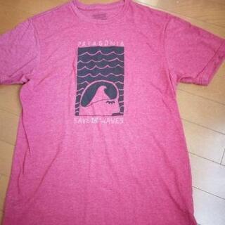 安価　patagonia（パタゴニア）カラーTシャツ