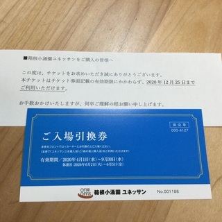 ユネッサン　入場券