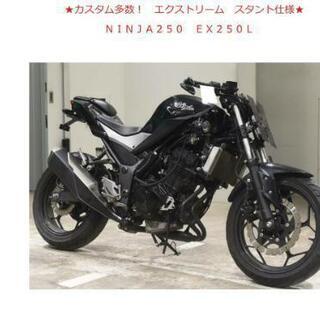 静岡県 浜松市のninja250の中古が安い！激安で譲ります・無料で