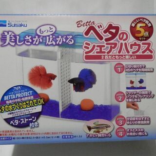 ベタシェアハウス　水槽　19センチ