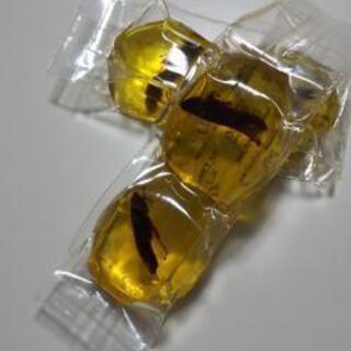 イナゴの佃煮入り和菓子「太古の琥珀糖」の画像