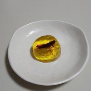 イナゴの佃煮入り和菓子「太古の琥珀糖」の画像