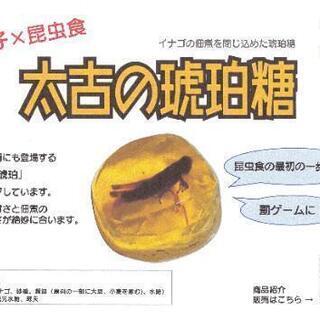 イナゴの佃煮入り和菓子「太古の琥珀糖」の画像