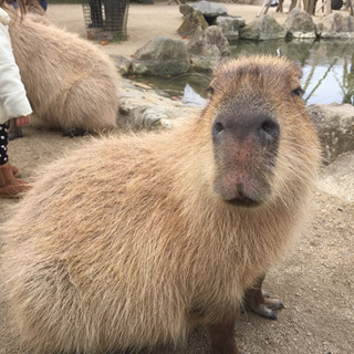 何でも話せる仲間って欲しくないですか？