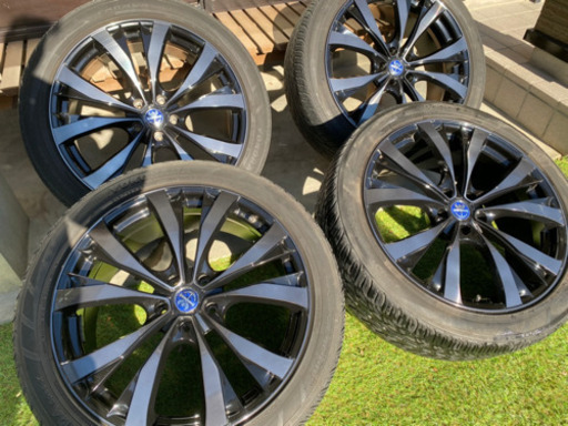 プレミックス　サッシカイア　20インチ