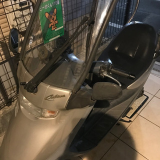 キャビーナ　不動