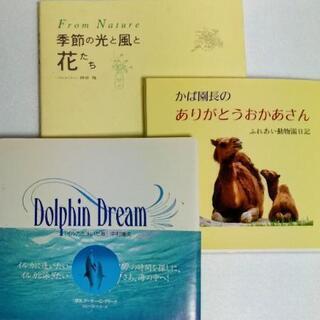中古本 ドルフィンドリーム他2冊