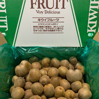 ☆有機キウイフルーツ 訳あり 5kg 【未完熟】☆