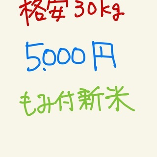 新米 もみ付30キロ 格安！ 早い者勝ち