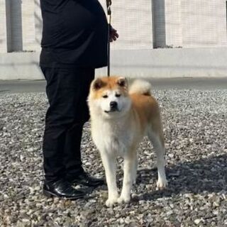 お問い合わせが多いため一時募集を中断致します。