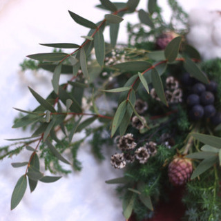ナチュラルクリスマススワッグ　40㎝の画像