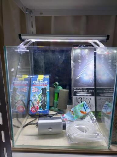 30cmキューブ水槽セット