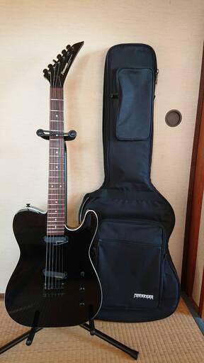 ＦＥＲＮＡＮＤＥＳ ＴＥＪ布袋モデル