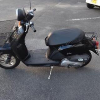 AF61、ディオの画像