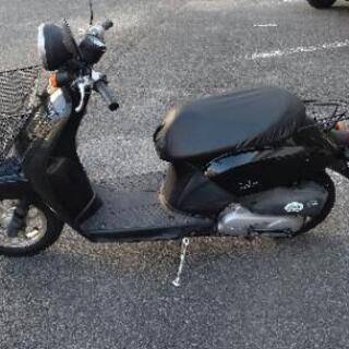 AF61、ディオの画像