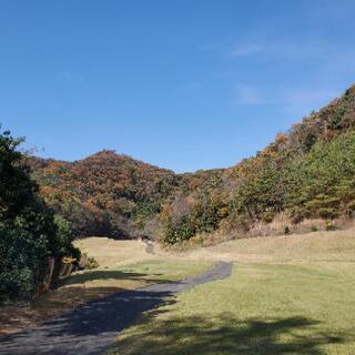 ゴルフいきましょう！ - 北区