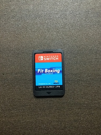 リングフィットアドベンチャーとフィットボクシング1