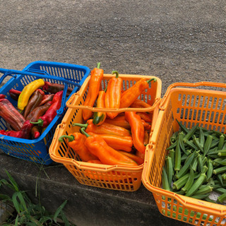 こだわり野菜を使って美食研究しませんか？ − 東京都