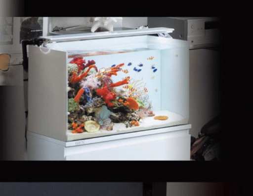 廃盤　希少❗️新品　ジェックス　グラステリアLX 600 プラチナホワイト　水槽