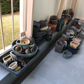 盆栽の鉢