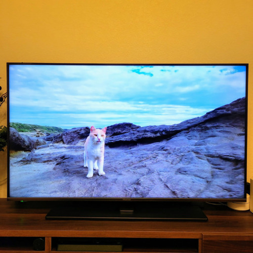 【配送相談可】ハイセンス 50インチ 4K液晶テレビ 50A6800  2019年製 大人気モデル